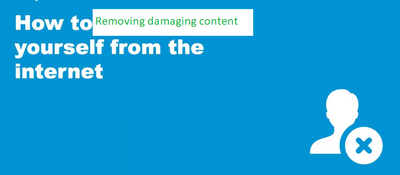 Removing damaging internet content